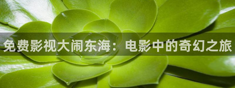 国产理论午夜电影