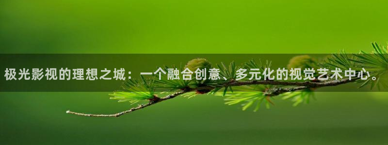 韩国2020理论大全